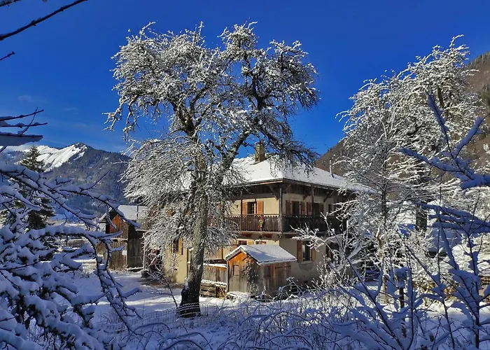 Appartement 6 pers 70 m² dans chalet Chez Marie