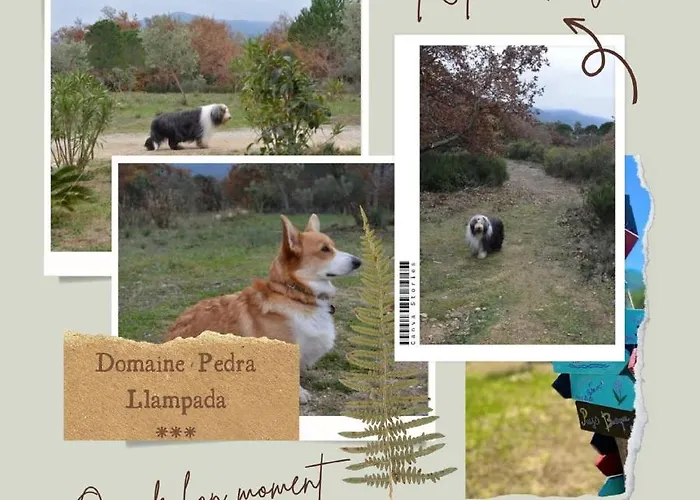 Domaine Pedra Llampada Gîtes Montagne