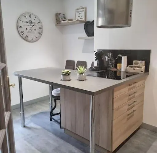 L'Ourse, Epinal,très bel appartement quartier Port
