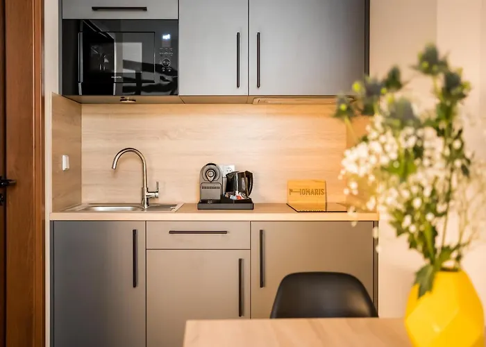 Homaris Boxi Studios