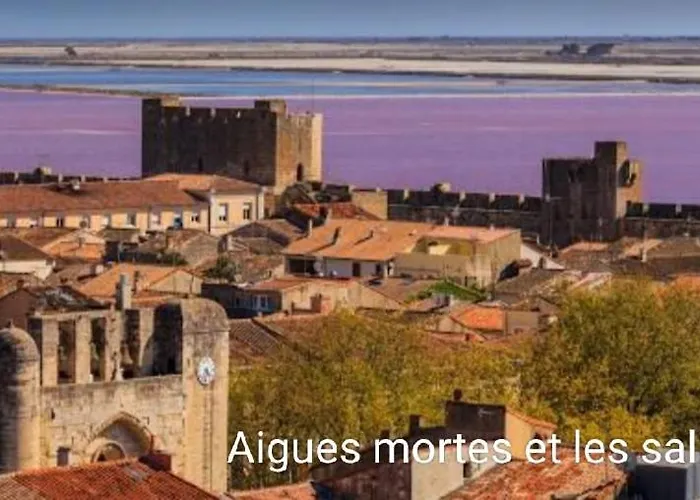 Maison neuve calme avec jardin et parking 15 mn de la Grande Motte et du Grau du roi ACCES PMR