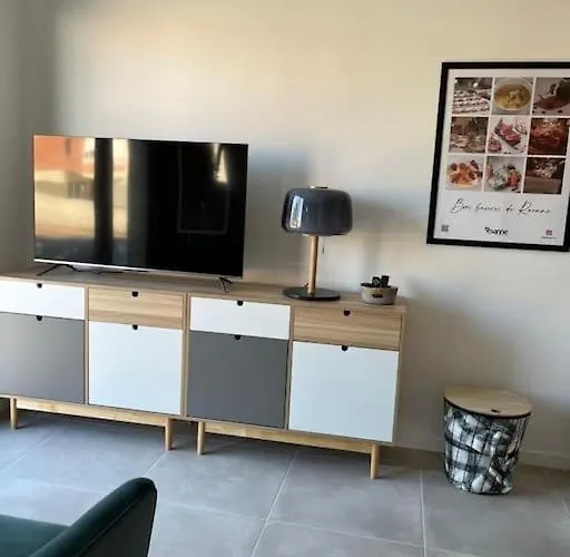 Appartement centre de Roanne 38m2