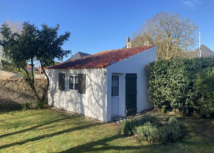 Maison charmante 6 pers, jardin clos, TV et Wifi, proche commerces et plage, petit chien accepté. - FR-1-224B-165
