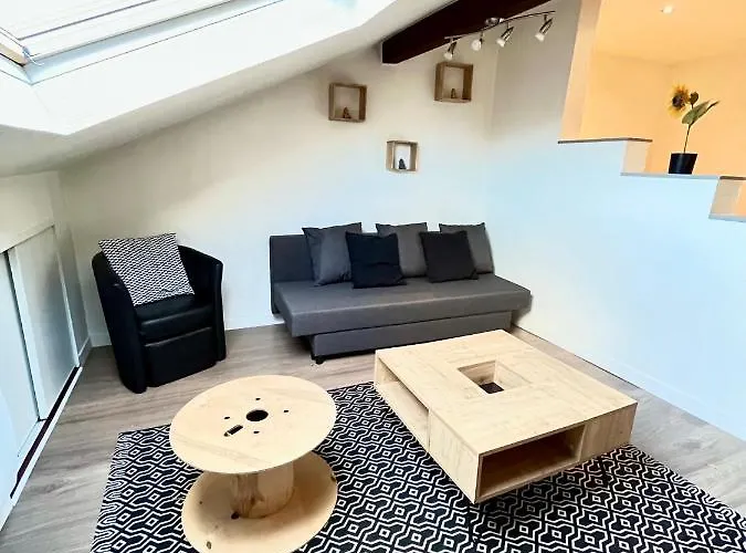 Pin'S - Magnifique Appartement