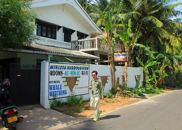 Mirissa Harbour View