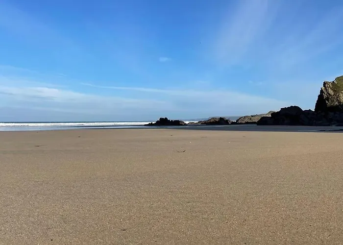 Pet Friendly hotel: The Lounge