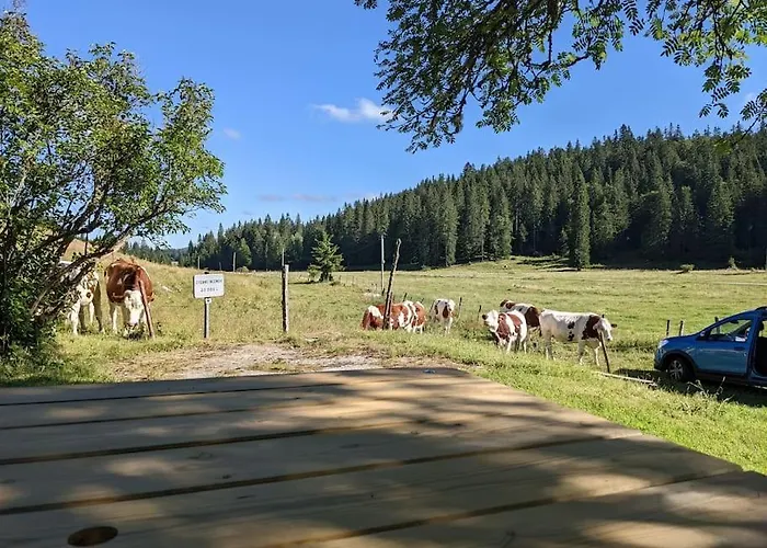 Ferme d'alpage La Bâtie Dessous