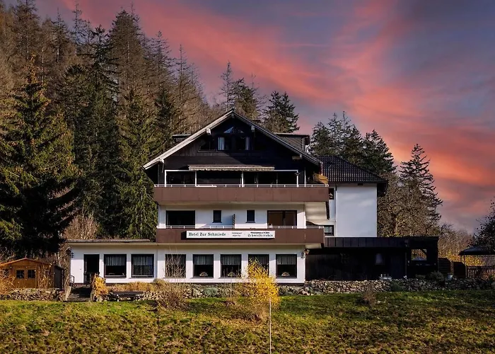 Haustierfreundliches Hotel: Hotel zur Schmiede