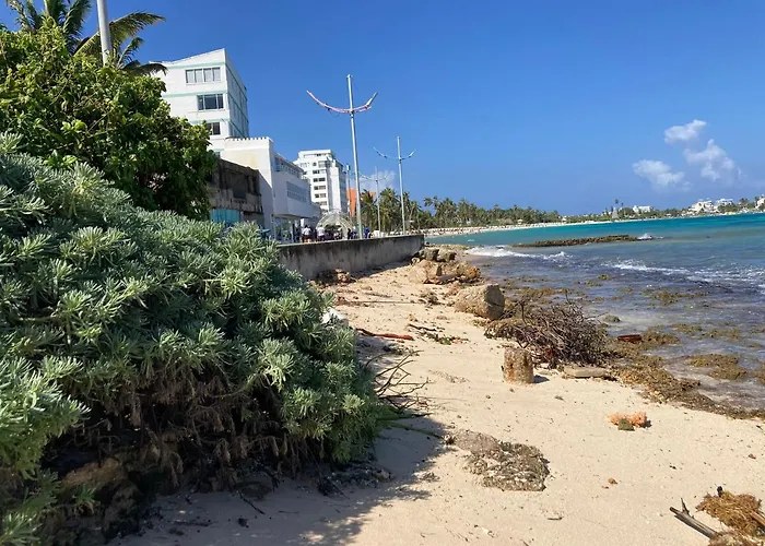 Hotel que admite mascotas: Apartamento De Playa 601