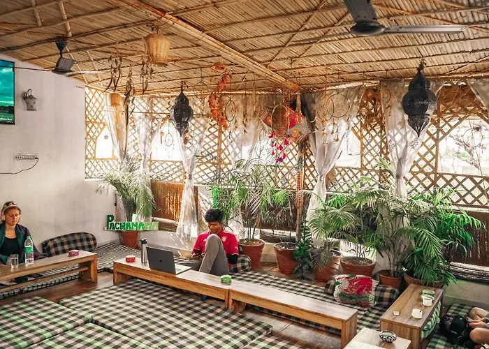 Pet Friendly hotel: Pachamama Hostel