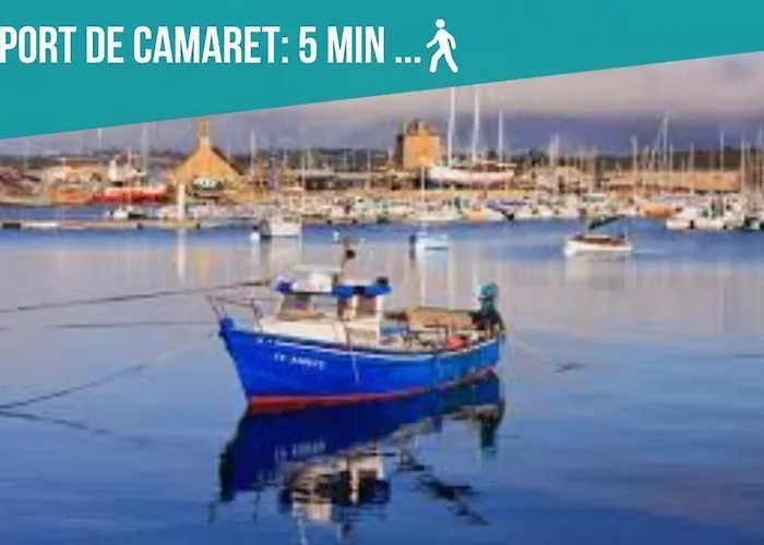 Studio le homard bleu