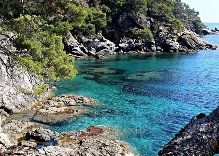 Studio cosy au pied de la plage