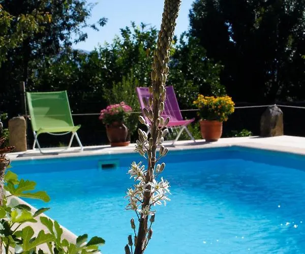 Apartamentos La Solana de Monfragüe