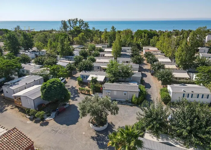 Hôtel accueillant les animaux: Camping Pleine Mer