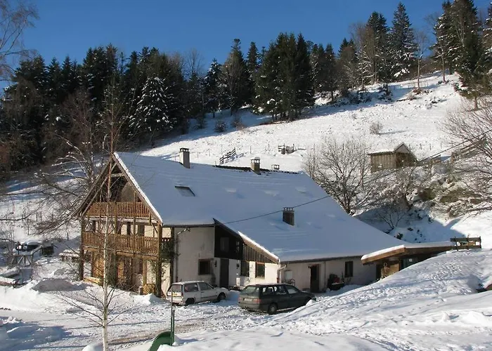 Appartement dans vielle ferme au coeur des Vosges