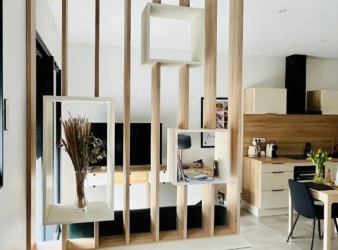 Appartement centre de Roanne 38m2