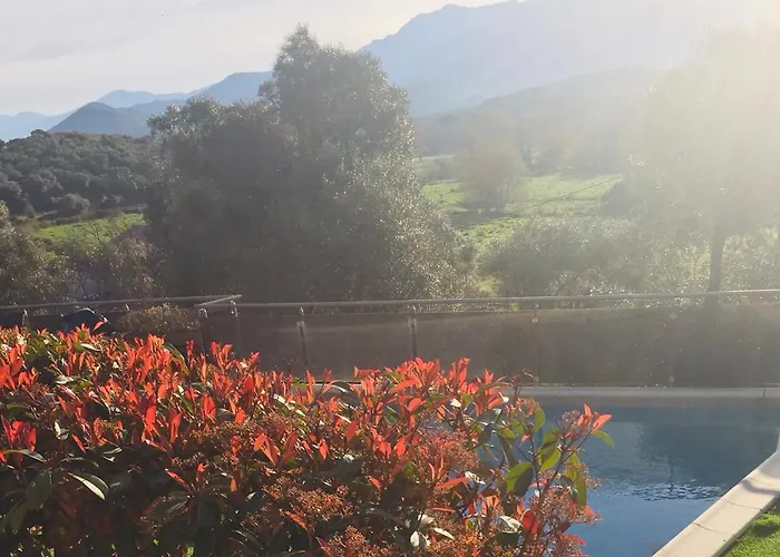 LE PALADIN Porto Pollo Villa privée avec piscine chauffée