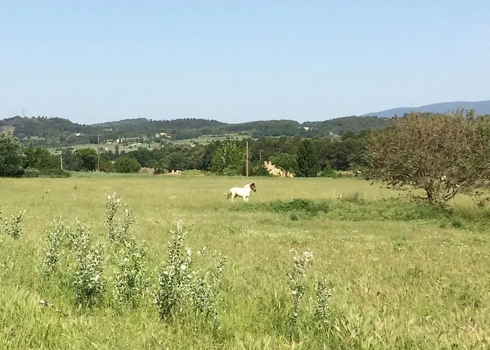 Campagne de Saint Clair