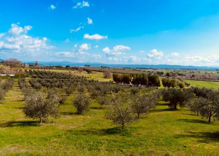 Agricampeggio La Piaggia - Agriturismo
