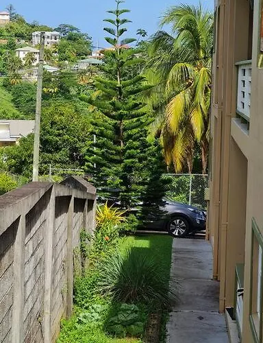 Coconut Creek Deluxe Suite