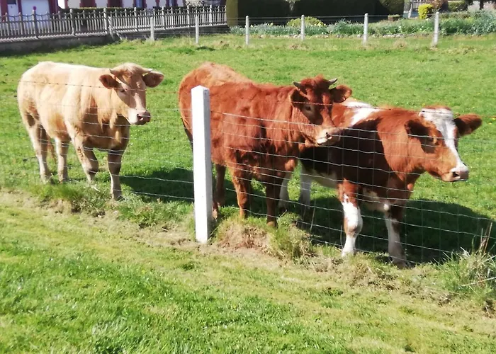 L'Opaline, Jolie Maison avec Jardin 6 pers,10km Honfleur, linge et internet inclus