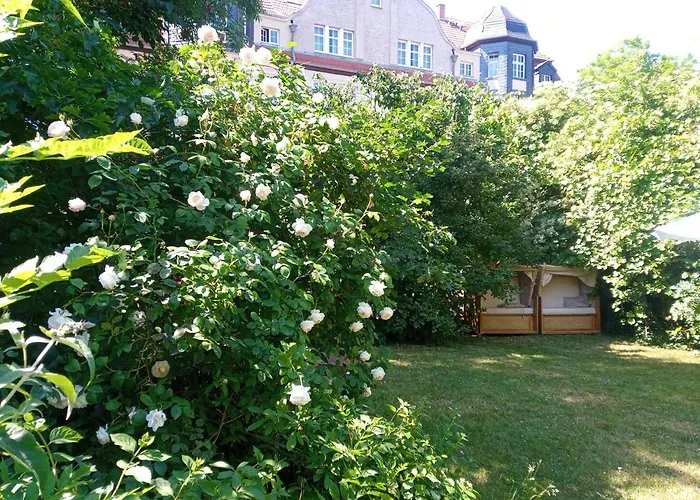  Hollerbusch