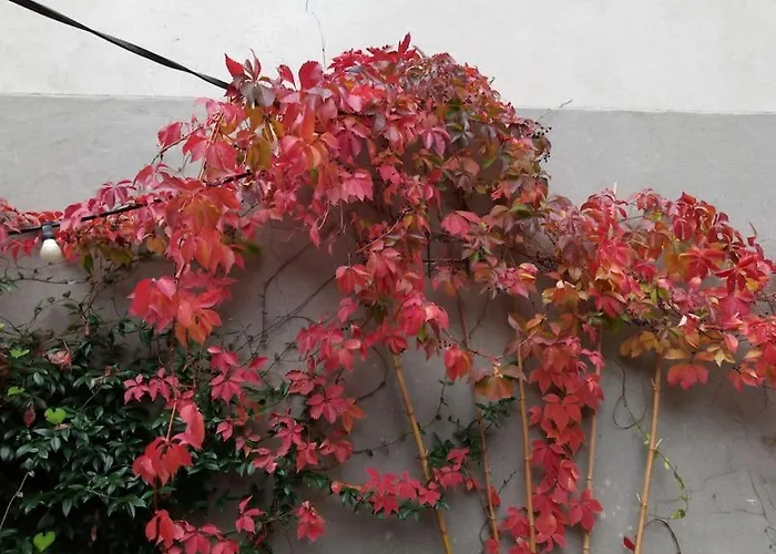 Duplex dans village avec jardin