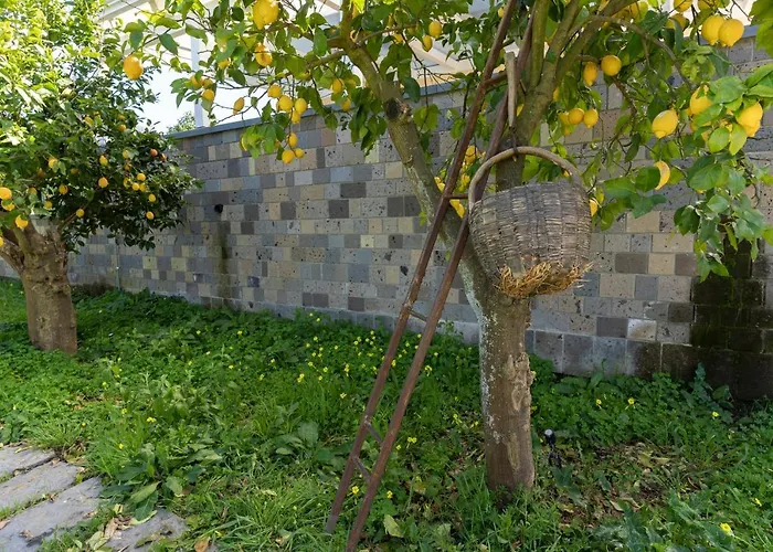 Tenuta Di Leva
