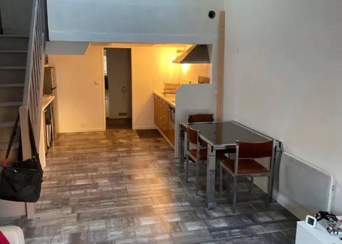 Joli duplex en centre ville de 40m2 climatisé