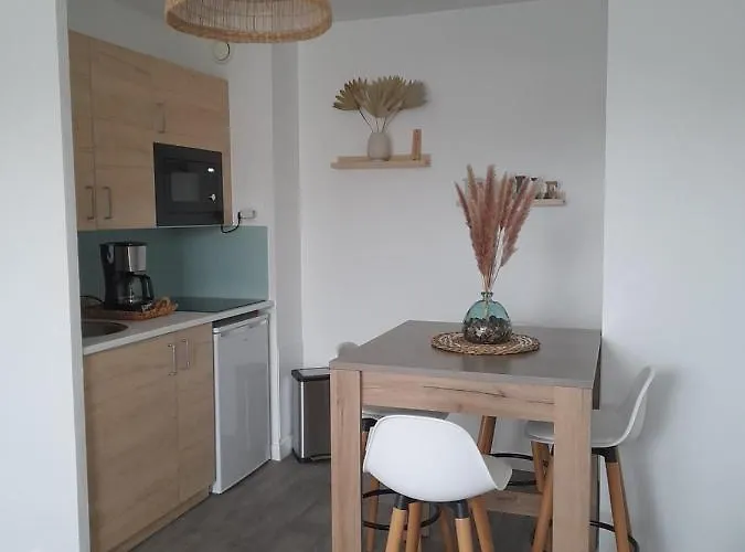 Appartement T2 avec balcon refait à neuf