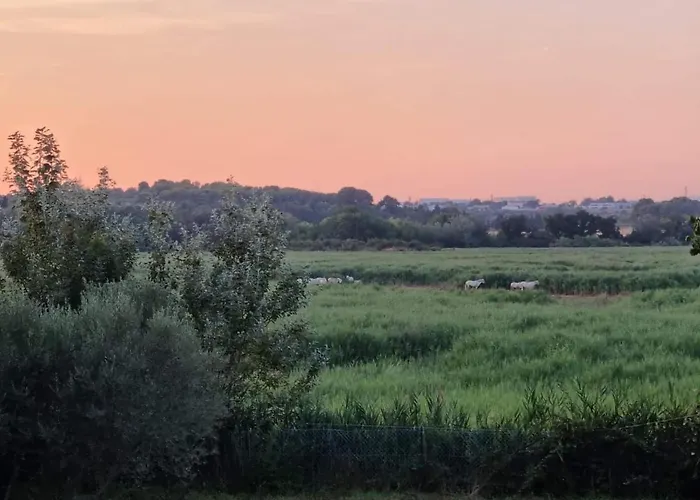 Gîtes de l'Estagnol