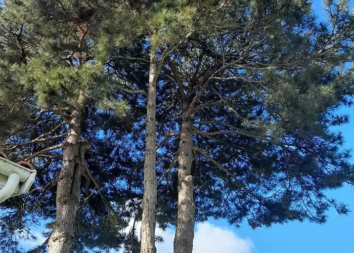 Le Stud' à Saint Pierre d'Oléron !