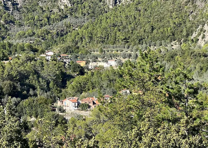 Mon Rêve
