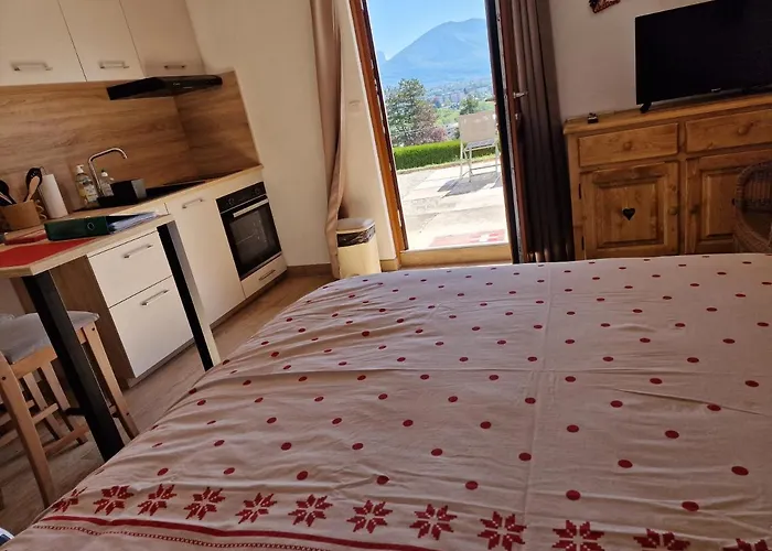 Studio Bellevue indépendant piscine parking terrasse proche centre Annecy