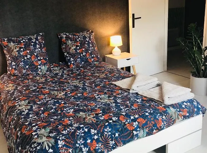 Le toit des Vosges demeure Historique Appartement neuf et climatisé