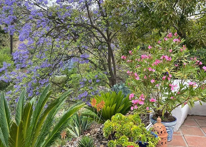 B&B rural El Oasis