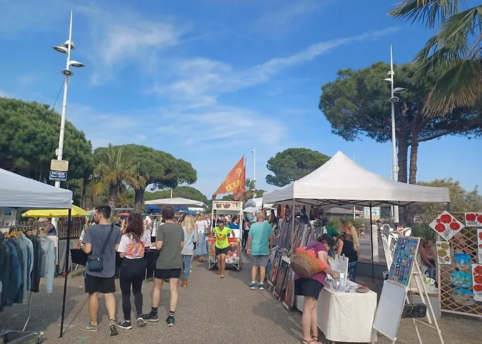 Charmant Appart. 500M Plages Des Sablettes