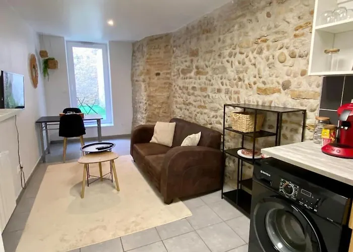 Vaste Appartement Rénové - Centre Ville