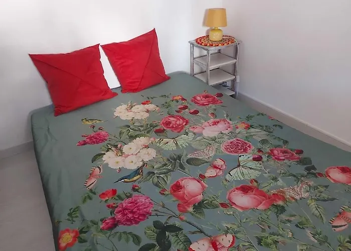 Large Cozy Studio In Castellane /Gorges Du Verdon