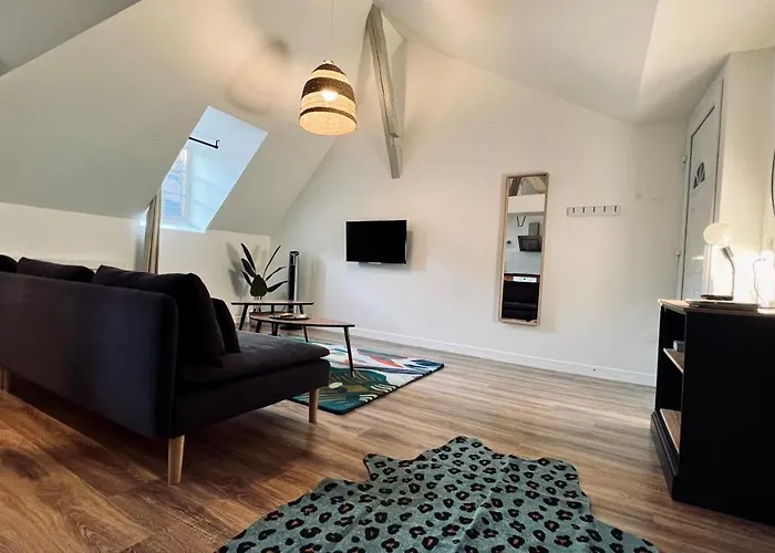 RhizHome - Coeur de ville, appartement spacieux
