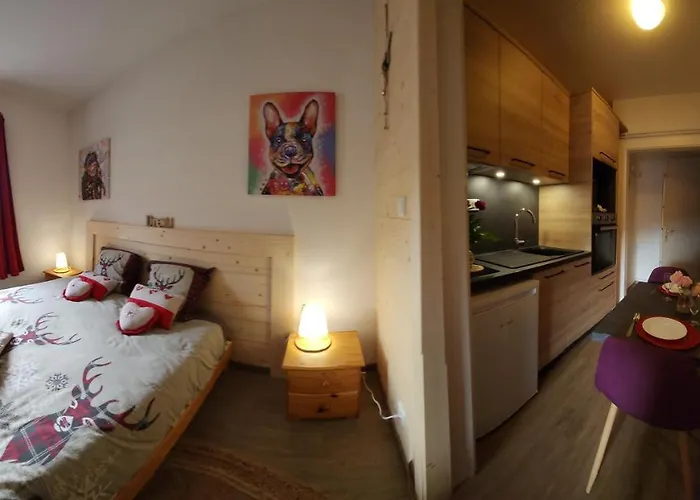 Gîte Myosotis, studio 2 personnes, avec salle de jeux et SPA dans la résidence