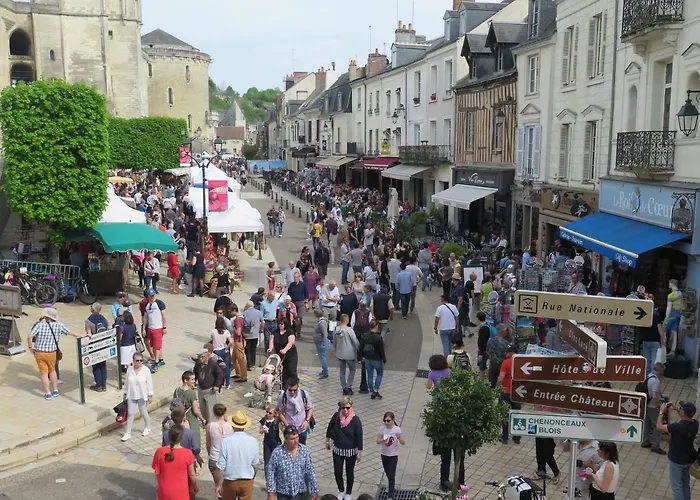 Studio Amboise centre historique