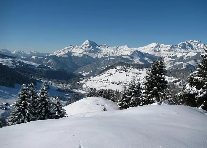 Chalet Le Wapiti, aux pieds des pistes, à 200m du village