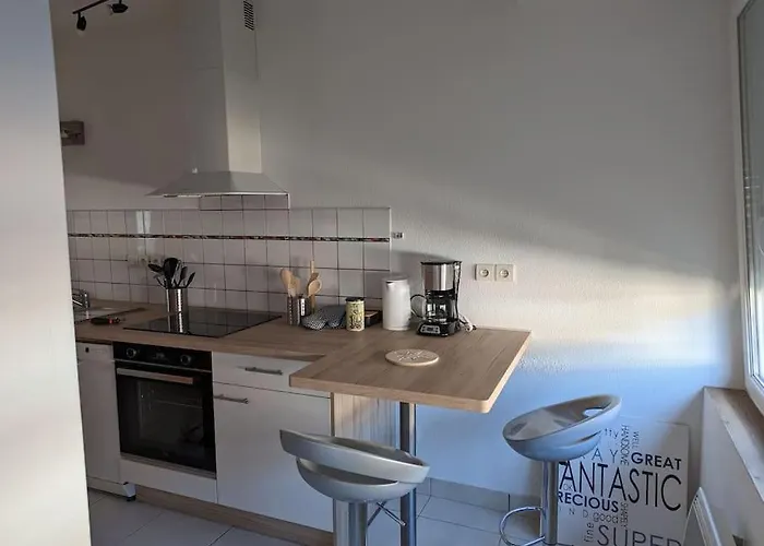 appartement plein centre Saint die des Vosges