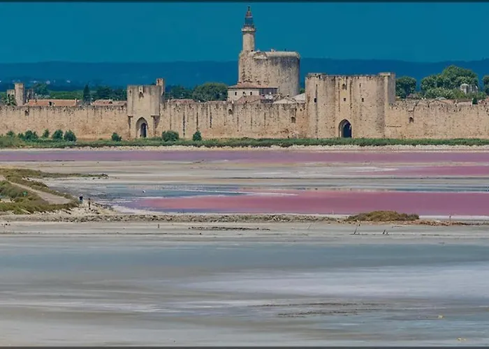Villa Aigues Mortes, piscine, 8 personnes