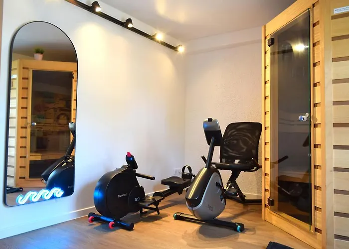 Clemence Green, Villa Hostal Naou Hossegor- wifi - sauna - salle de sport - netflix