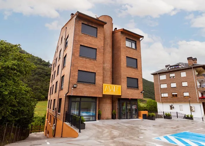 Hotel que admite mascotas: Maile Apartamentos