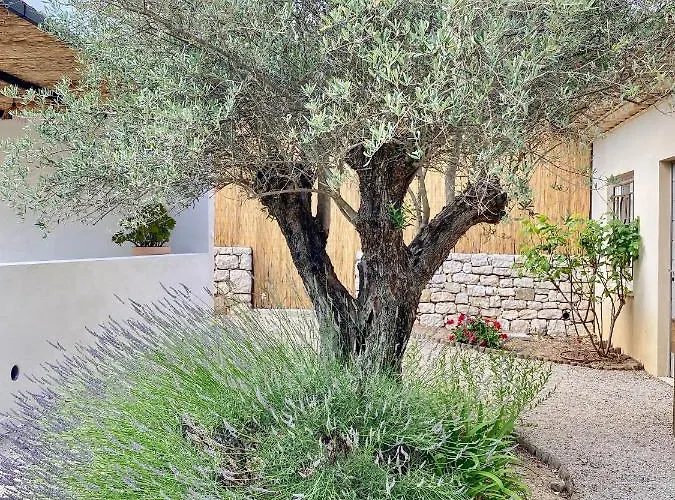 Le Cabanon Valbonne