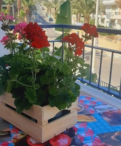 Carboneras, la Mar Divina