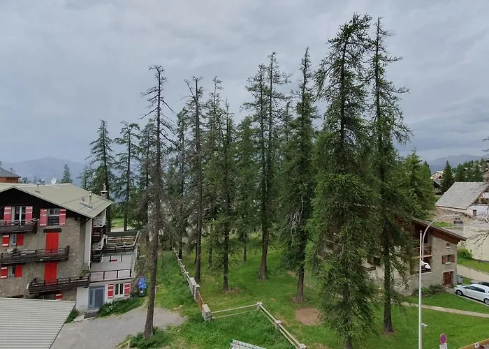 Studio Centre Et Pied Des Pistes